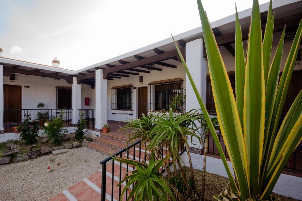 Ferienwohnung Hacienda Puerto Conil Conil De La Frontera Exterior foto